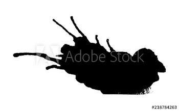 Black ink splash or drop made with brush