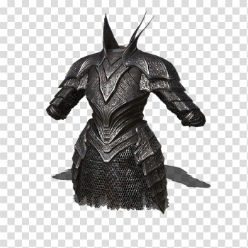 Black Knight Armor (Dark Souls III) | Dark Souls Wiki | FANDOM ...