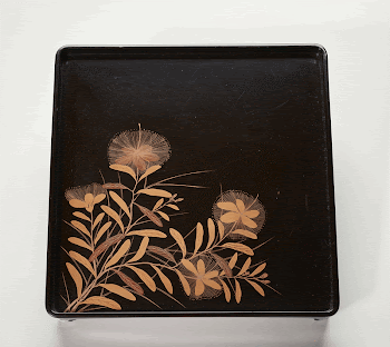 black lacquer tray; plant with oblong | Free Photo - rawpixel