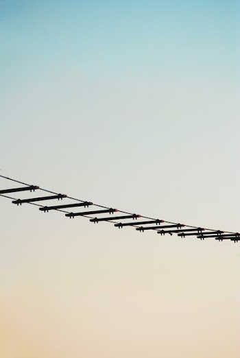 Black Ladder
