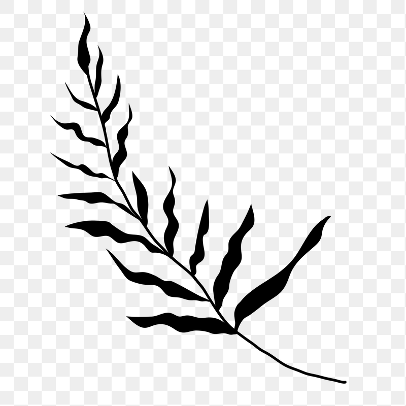 Black leaf png sticker, transparent | Free PNG - rawpixel