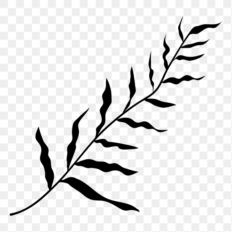 Black leaf png sticker, transparent | Free PNG - rawpixel