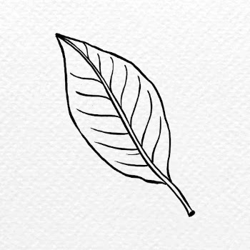 Black leaf tattoo art, vintage | Free PSD Illustration - rawpixel