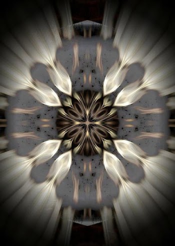 BLACK LOTUS.jpg