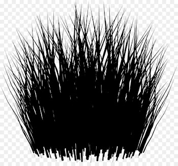 Black M -  