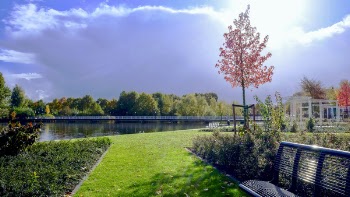 Black Metal Bench on Grassy Garden