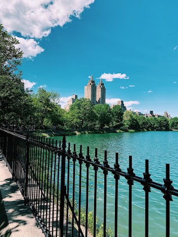 Black Metal Fence Near Body of Water