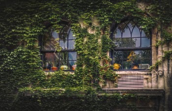 Black Metal Frame Glass Window