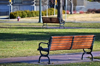 Black Metal Framed Brown Wooden Bench on Park