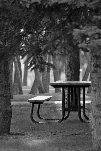 Black Metal Wood-top Bench