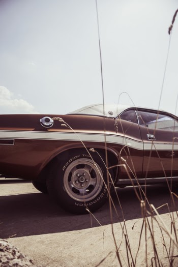 Black Muscle Car Near Brown Grass during Daytime