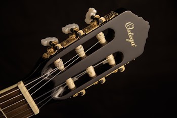 Black Ortega Guitar Headstock