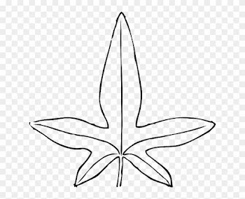 Black, Outline, Leaf, White, Template, Plant, Leaves - Leaves Clip Art