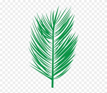 Black Palm Leaf Indoor/outdoor Cushion