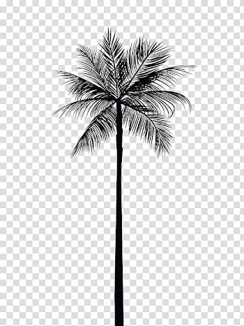 Black palm tree , Arecaceae Tree Gold Palm branch Wall decal, Black coconut tree transparent background PNG clipart