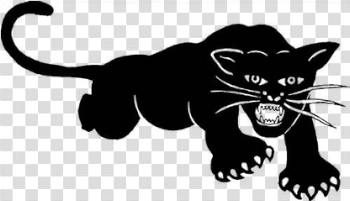 Black Panther Party - Wikipedia