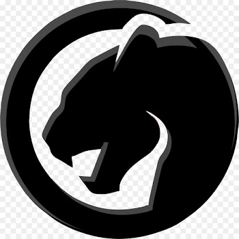 Black panther Photography Cougar Drawing - black panther 