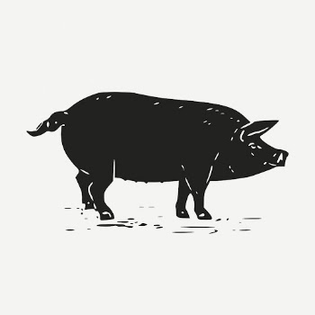 Black pig, vintage farm animal | Free PSD Illustration - rawpixel