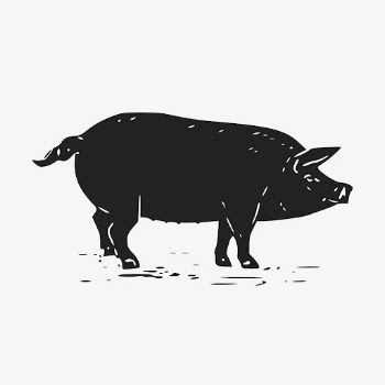 Black pig, vintage farm animal | Free Vector Illustration - rawpixel