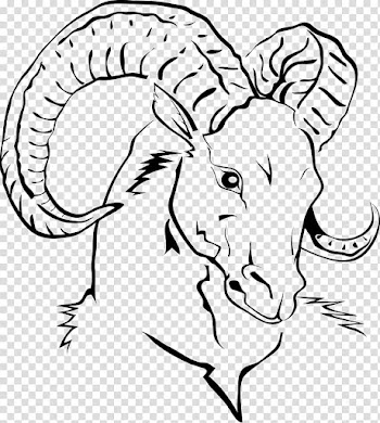 Black ram illustration, Goat Sheep Domestication of animals, line drawing goat head transparent background PNG clipart