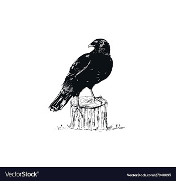 Black raven sketch vector image