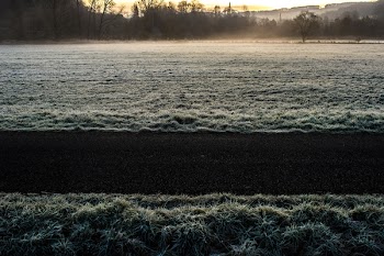 black road in between white and brown grass across forest photo during sunset