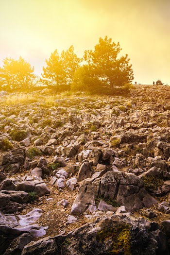 Black Rock Formation Near Trees