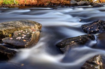 black rocks on river