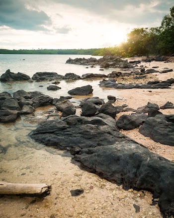 Black Rocks on Shore