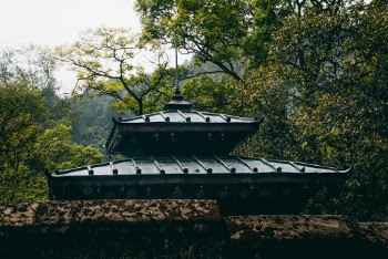 Black Roof