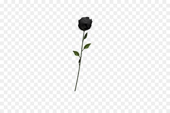 Black rose Art Emoji - undead 