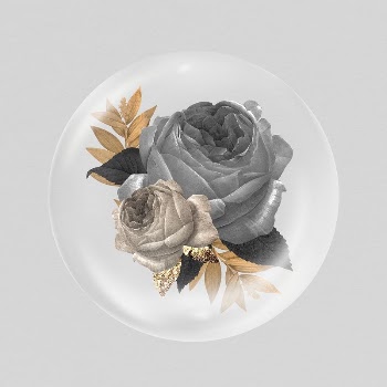 Black rose flowers sticker, Winter | Free PSD - rawpixel