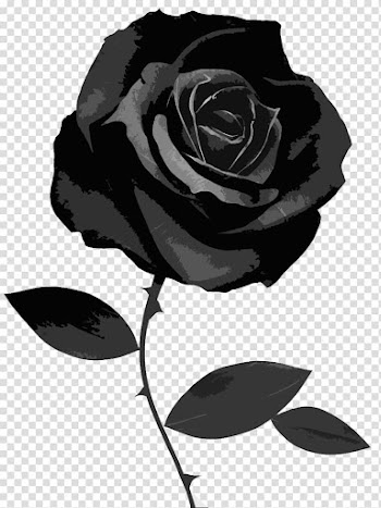 Black rose illustration, Black rose Desktop Symbol, black rose transparent background PNG clipart