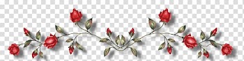Black rose Red , rose transparent background PNG clipart