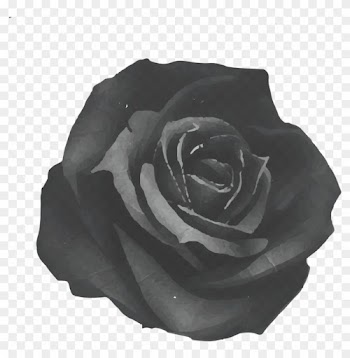 Black Rose Tavern - Fabric Rose Art Print - Mini By Ruben Ireland