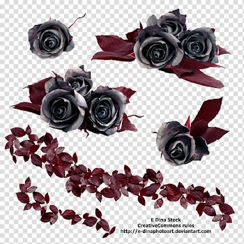 Black Roses, grey and pink flowers transparent background PNG clipart