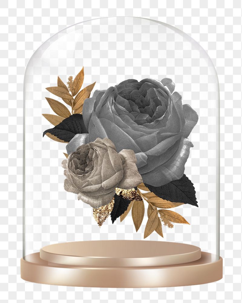 Black roses png glass dome | Free PNG - rawpixel