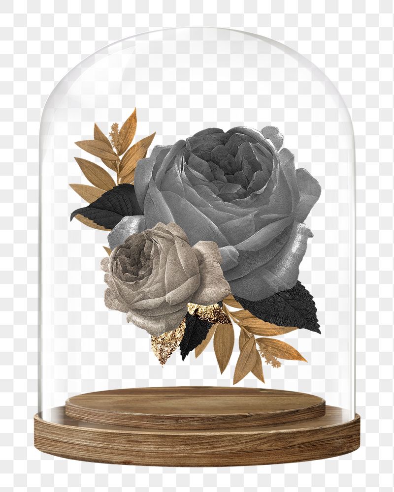 Black roses png glass dome | Free PNG - rawpixel