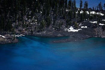 black sand beach with green trees near at body of water