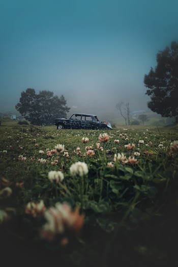 Black Sedan
