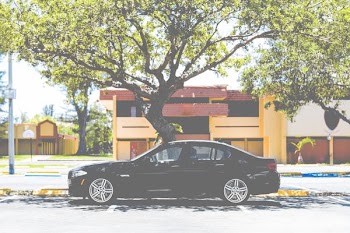black sedan near tree