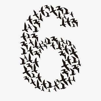 Black Silhouette, Black, Camera, Abstract Camera PNG Image and ...