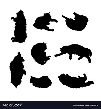 black silhouette of a black fluffy cat set