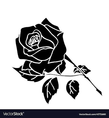 black silhouette of a rose close-up on a white