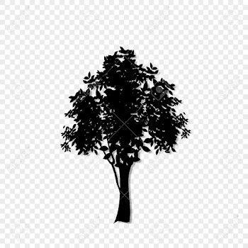 Black Silhouette Of Leafed Tree Icon Isolated On Transparent ...