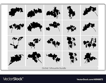 black silhouette of orchid flowers
