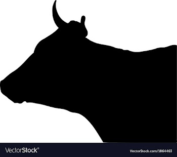 Black silhouette of the head of a cow vector image