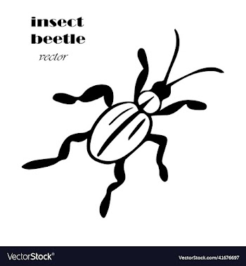 black simple insects beetles parasites