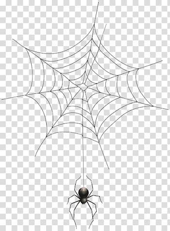 Black spider and spider web , Spider web Halloween , Spider web spider transparent background PNG clipart