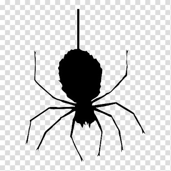 Black spider art, Spider web Halloween Icon, Halloween Spider transparent background PNG clipart